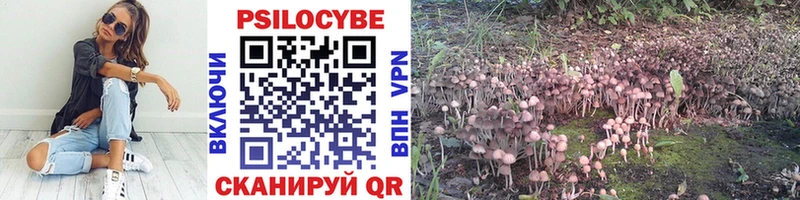 hydra   Шагонар  Галлюциногенные грибы Magic Shrooms 